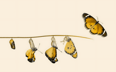 Done…or Different? A New Way to Reflect on Your Progress