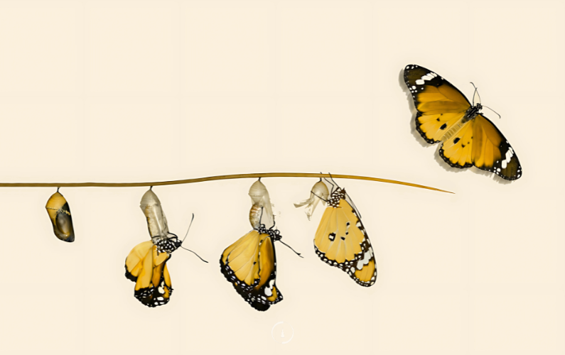 Done…or Different? A New Way to Reflect on Your Progress