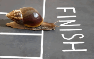 Making Friends with Your Inner Striver