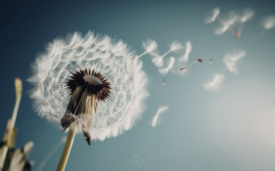 What do you want to let go of in your business?