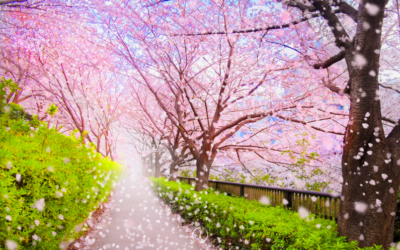 Planning for the Spring You Want