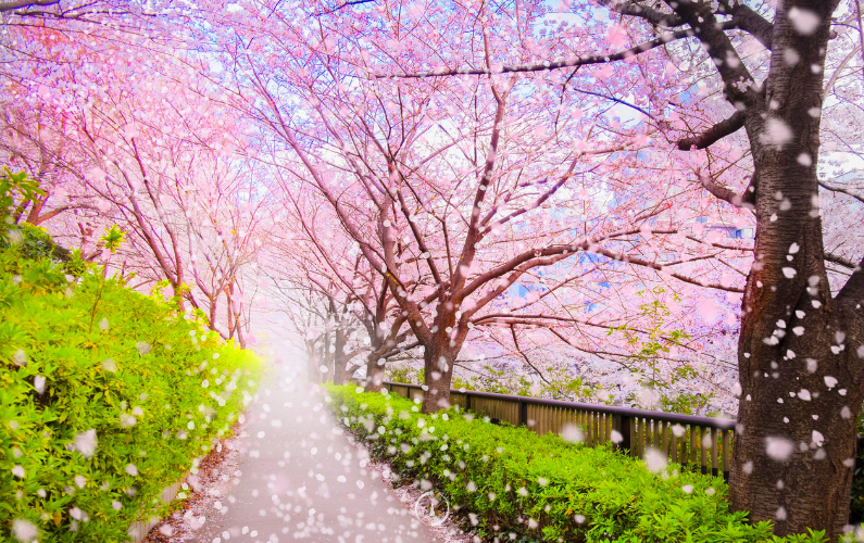 Planning for the Spring You Want